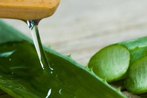 vegám, aloe vera, bőrápolás